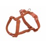 Arnês para Cães Trixie Premium Laranja XXS/XS | Tienda24 - Global Online Shop Tienda24.eu