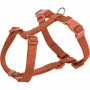 Arnés para Perro Trixie Premium Naranja XXS/XS | Tienda24 - Global Online Shop Tienda24.eu