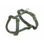 Dog Harness Trixie Premium Green Olive XXS/XS | Tienda24 - Global Online Shop Tienda24.eu