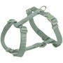 Dog Harness Trixie Premium Green XS/S | Tienda24 - Global Online Shop Tienda24.eu