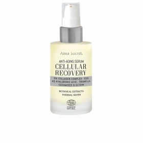 Gel Idratante Skin Generics Snow Mushroom 30 ml Antistress Ghiaccio | Tienda24 - Global Online Shop Tienda24.eu