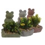 Decorative Plant Home ESPRIT Polyethylene Cement Frog 9 x 9 x 13 cm (3 Units) | Tienda24 - Global Online Shop Tienda24.eu