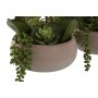 Decorative Plant Home ESPRIT Polyethylene Papier-mâché 40 X 35 X 52 cm (2 Units) | Tienda24 - Global Online Shop Tienda24.eu