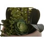 Decorative Plant Home ESPRIT Polyethylene Papier-mâché 40 X 35 X 52 cm (2 Units) | Tienda24 - Global Online Shop Tienda24.eu