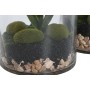 Decorative Plant Home ESPRIT PVC Crystal 15 x 15 x 20 cm (2 Units) | Tienda24 - Global Online Shop Tienda24.eu