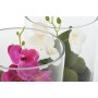 Decorative Plant Home ESPRIT PVC Crystal 15 x 15 x 20 cm (2 Units) | Tienda24 - Global Online Shop Tienda24.eu