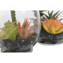 Decorative Plant Home ESPRIT PVC Crystal 10 x 10 x 15 cm (2 Units) | Tienda24 - Global Online Shop Tienda24.eu