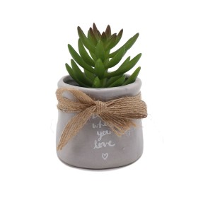 Decorative Plant Home ESPRIT PVC Crystal 15 x 15 x 20 cm (2 Units) | Tienda24 - Global Online Shop Tienda24.eu