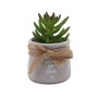 Decorative Plant Versa Ceramic Plastic 5,59 x 8,89 x 5,59 cm | Tienda24 - Global Online Shop Tienda24.eu