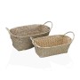 Set di Cestini Versa Alghe marine 20 x 12 x 30 cm | Tienda24 - Global Online Shop Tienda24.eu