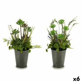 Decorative Plant  Ball Moss 20 x 20 x 20 cm | Tienda24 - Global Online Shop Tienda24.eu