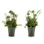 Decorative Plant Flowers Field Plastic 20 x 41 x 20 cm (6 Units) | Tienda24 - Global Online Shop Tienda24.eu