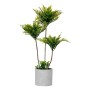 Decorative Plant Palm tree 20 x 70 x 20 cm Grey Cement Green Plastic (4 Units) | Tienda24 - Global Online Shop Tienda24.eu