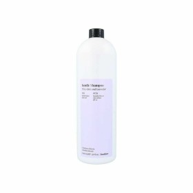 Champô Redken 1 L | Tienda24 - Global Online Shop Tienda24.eu