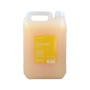 Champú Risfort Champú Mango 5 L | Tienda24 - Global Online Shop Tienda24.eu