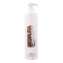 Antiaging Shampoo Hair Concept Concept RRestaura 500 ml | Tienda24 - Global Online Shop Tienda24.eu