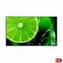 Moniteur Videowall NEC 60005054 4K Ultra HD 54,6" 60 Hz | Tienda24 - Global Online Shop Tienda24.eu