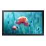 Monitor Samsung LH13QBRMBGCXEN Full HD 60 Hz | Tienda24 - Global Online Shop Tienda24.eu