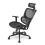 Bürostuhl Sharkoon Officepal C30M Schwarz | Tienda24 - Global Online Shop Tienda24.eu