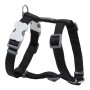 Dog Harness Red Dingo Smooth 37-61 cm Black | Tienda24 - Global Online Shop Tienda24.eu