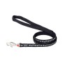 Dog Harness Red Dingo Diamond Black | Tienda24 - Global Online Shop Tienda24.eu