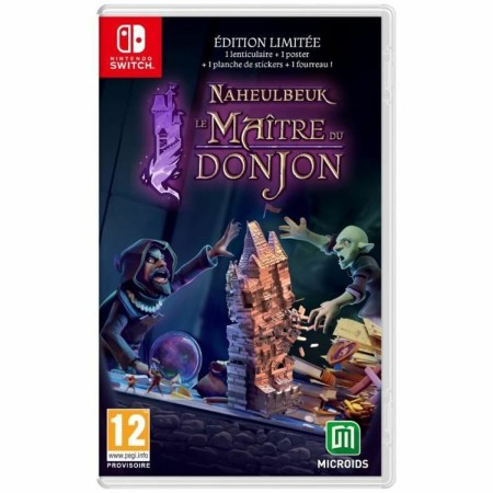 Video game for Switch Microids The Dungeon Master of Naheulbeuk | Tienda24 - Global Online Shop Tienda24.eu