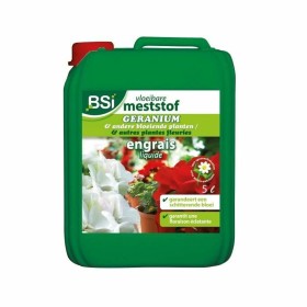 Fertilizzante non organico Massó Piante 1 L | Tienda24 - Global Online Shop Tienda24.eu