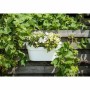 Self-watering planter Garden ID White | Tienda24 - Global Online Shop Tienda24.eu