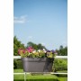 Self-watering planter Garden ID | Tienda24 - Global Online Shop Tienda24.eu