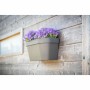 Pot auto-arrosant Garden ID Taupe | Tienda24 - Global Online Shop Tienda24.eu