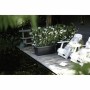 Plant pot Elho Black Plastic | Tienda24 - Global Online Shop Tienda24.eu