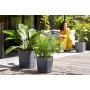 Self-watering flowerpot Elho Greensense Aqua Care Ø 38 x 38,9 cm Dark grey Squared | Tienda24 - Global Online Shop Tienda24.eu