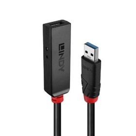 Câble USB C vers HDMI Startech CDP2HDMM2MB 4K Ultra HD 2 m Noir | Tienda24 - Global Online Shop Tienda24.eu