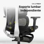 Silla de Oficina Owlotech Negro | Tienda24 - Global Online Shop Tienda24.eu