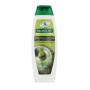 Champú Palmolive Naturals Shampoo 350 ml | Tienda24 - Global Online Shop Tienda24.eu