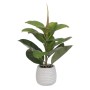 Decorative Plant Green PVC Oak 58 cm | Tienda24 - Global Online Shop Tienda24.eu