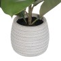 Planta Decorativa Verde PVC Eik 58 cm | Tienda24 - Global Online Shop Tienda24.eu