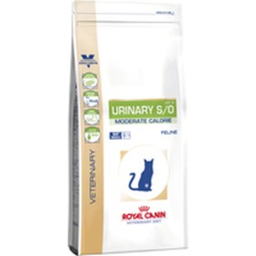 Aliments pour chat Royal Canin Senior 2 Kg Poulet | Tienda24 - Global Online Shop Tienda24.eu