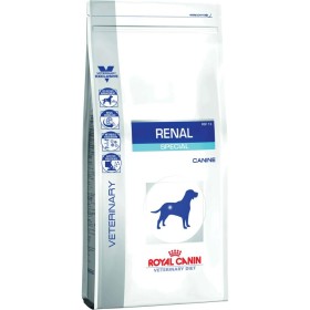 Futter Acana Dog TF Regionals Grasslands Erwachsener Lamm Ente 11,4 Kg | Tienda24 - Global Online Shop Tienda24.eu