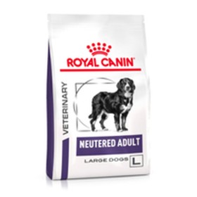 Comida húmida Royal Canin Urinary S/O (can) | Tienda24 - Global Online Shop Tienda24.eu