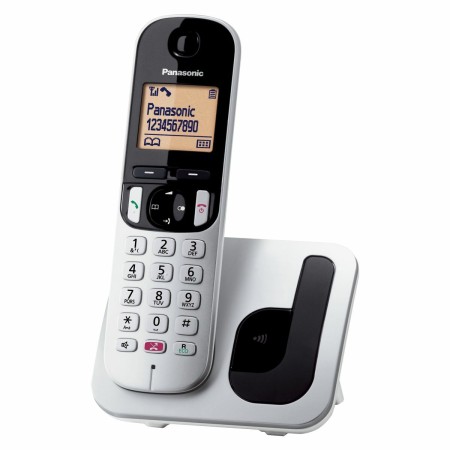 Kabelloses Telefon Panasonic KX-TGC250SPS Grau Silber | Tienda24 - Global Online Shop Tienda24.eu