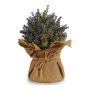 Plant pot Plastic Purple | Tienda24 - Global Online Shop Tienda24.eu