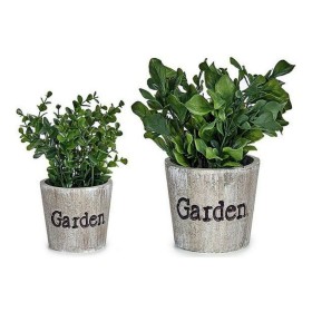 Decorative Plant Versa Crystal Plastic 15,24 x 19,05 x 15,24 cm | Tienda24 - Global Online Shop Tienda24.eu