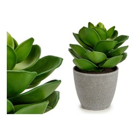 Decorative Plant Cork Ceramic Plastic 24 x 43 x 24 cm (8 Units) | Tienda24 - Global Online Shop Tienda24.eu