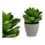 Plante décorative Gris 16 x 21 x 16 cm Vert Plastique | Tienda24 - Global Online Shop Tienda24.eu