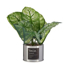 Decorative Plant Home ESPRIT PVC Crystal 15 x 15 x 20 cm (2 Units) | Tienda24 - Global Online Shop Tienda24.eu