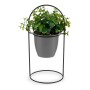 Plante décorative Gris Avec support Métal Plastique (14 x 30 x 14 cm) | Tienda24 - Global Online Shop Tienda24.eu