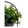 Decorative Plant Grey With support Metal Plastic (14 x 30 x 14 cm) | Tienda24 - Global Online Shop Tienda24.eu