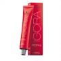 Permanent Colour Creme Igora Royal Schwarzkopf 5-6 Nº 5.6 (60 ml) | Tienda24 - Global Online Shop Tienda24.eu