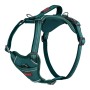 Harnais pour Chien Company of Animals Turquoise XS 20-32 cm | Tienda24 - Global Online Shop Tienda24.eu